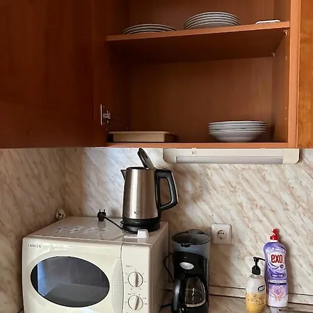Lovely 1-bedroom 120m From The Lift בנסקו